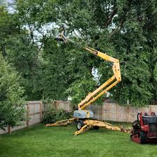 Best Tree and Shrub Care  in Roslyn Estates, NY